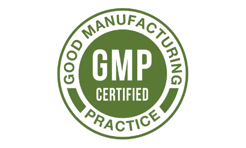 Memopezil GMP Certified